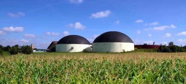 Biomass and Biogas plant